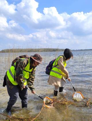 Kick sampling at Lough Carra