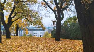 Syksyinen kuva Tampereen yliopiston keskusta kampukselta.
