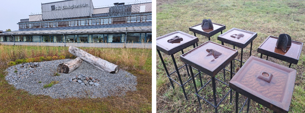 (1) two decaying trunks of wood (2) artwork serving as bird pools.