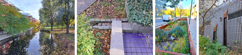 Pictures of implemented stormwater structures.