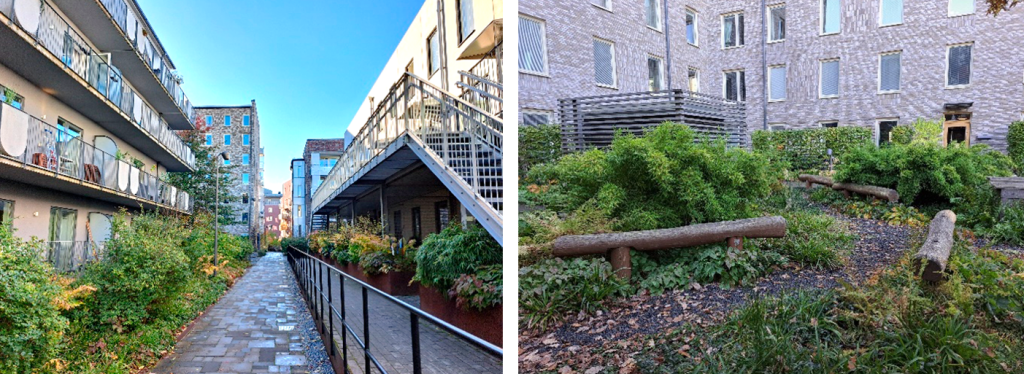 Pictures of lush green courtyards.