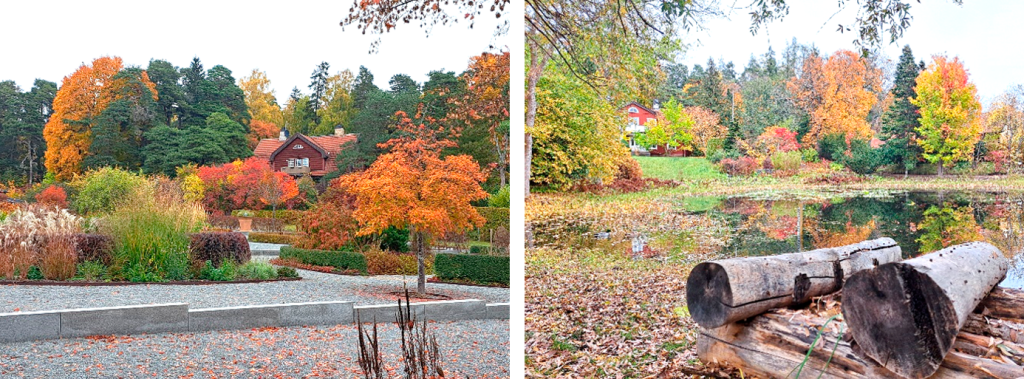 (1) autumn garden and old red campus building (2) decaying trunk of wood by the water.