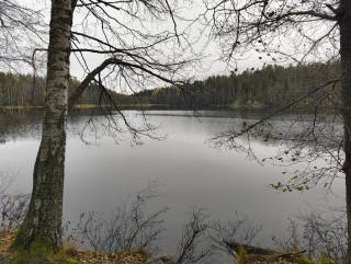 grey weather