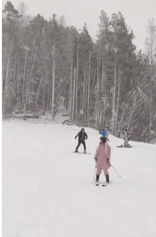skiing activity