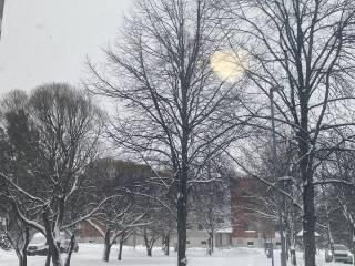 winter moments