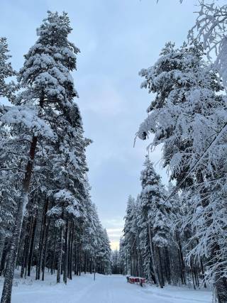 Lapland, 2023