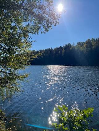 järvi