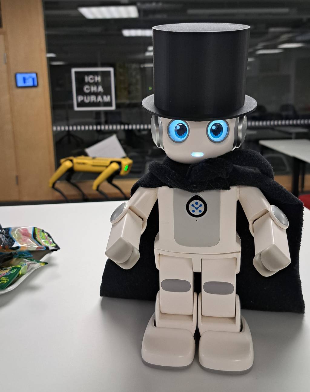AlphaMini robot.