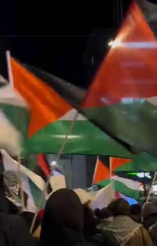 Palestinian flags at the march