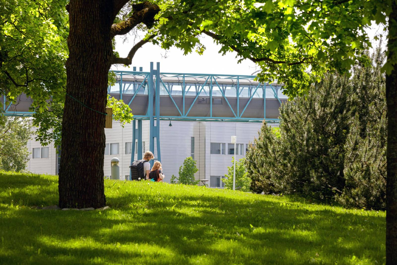 People walking through campus.