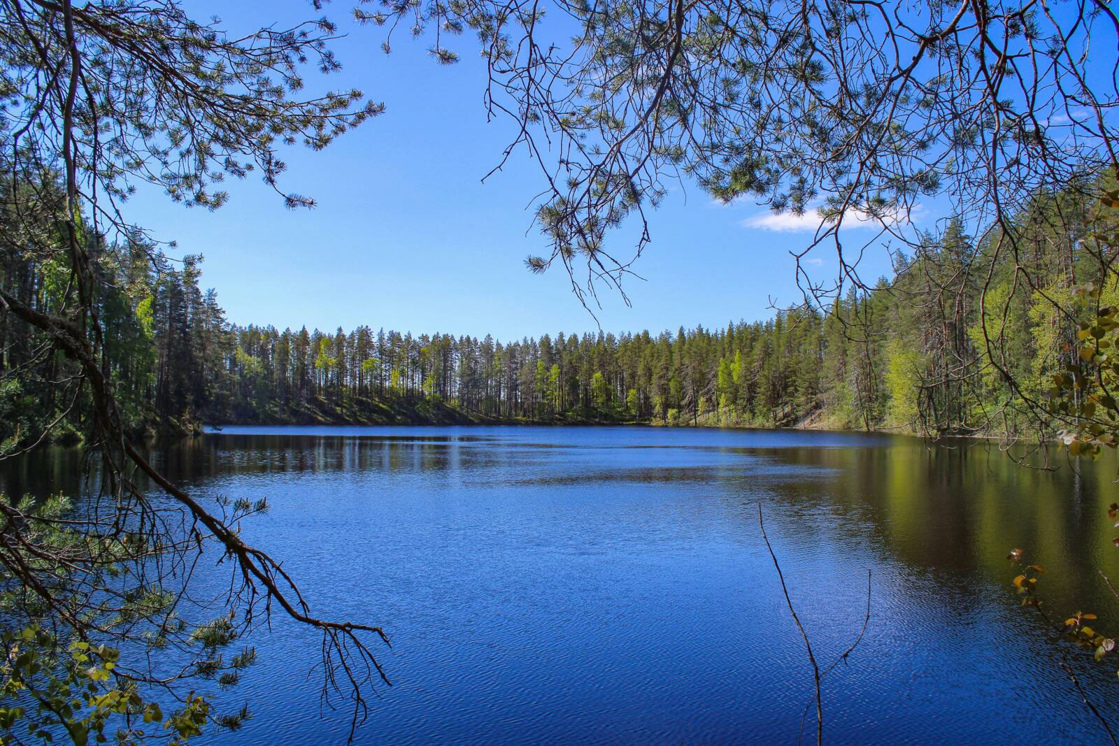 finnish lakeside scenery