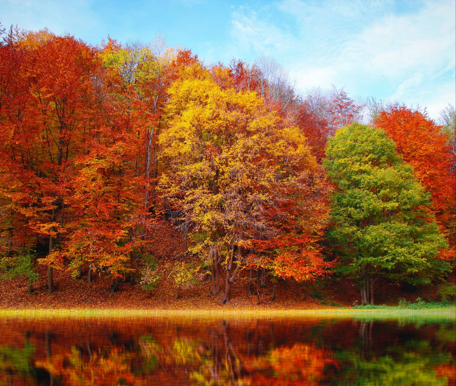 Herbst