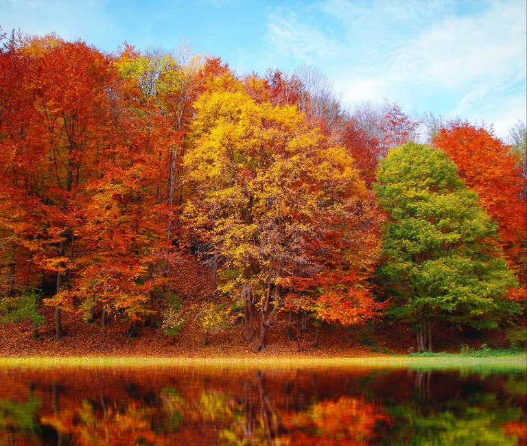 Herbst
