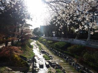 river with a walkway