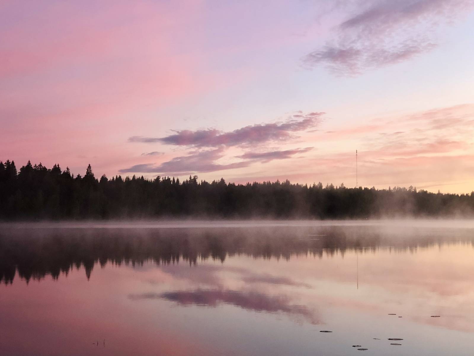 A photo from my summer cottage