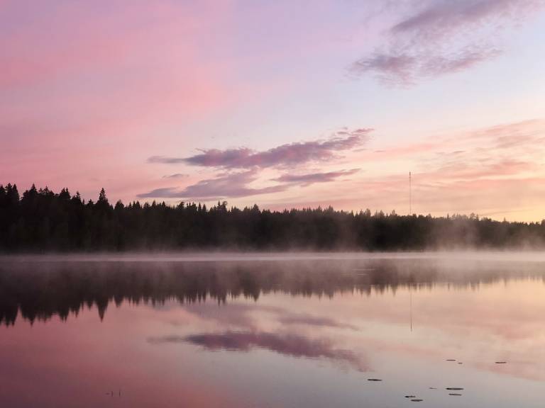 A photo from my summer cottage
