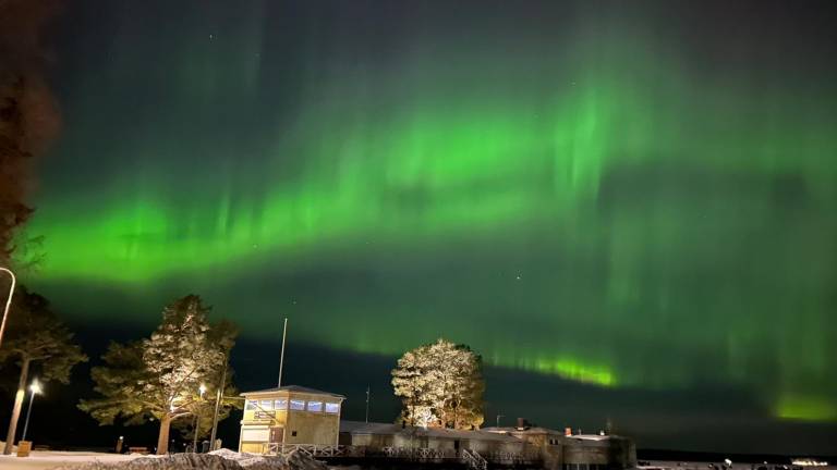 aurora