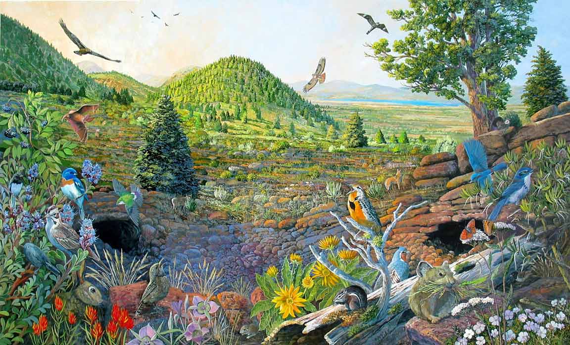 Mural art depicting the circle of life