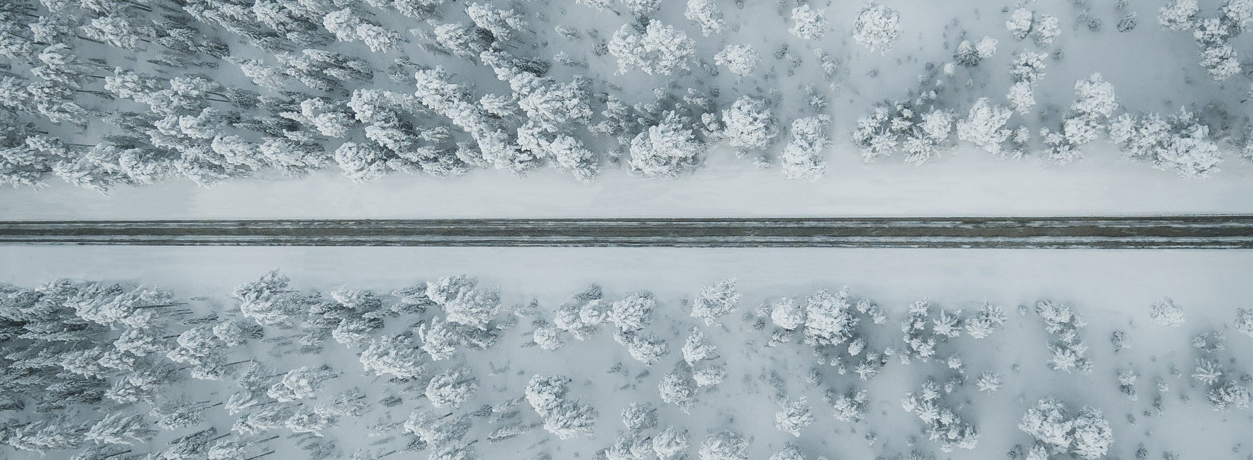 A winter landscape shot from above with trees and a road in the middle