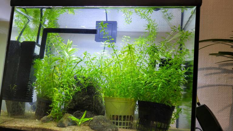 Fish tank.