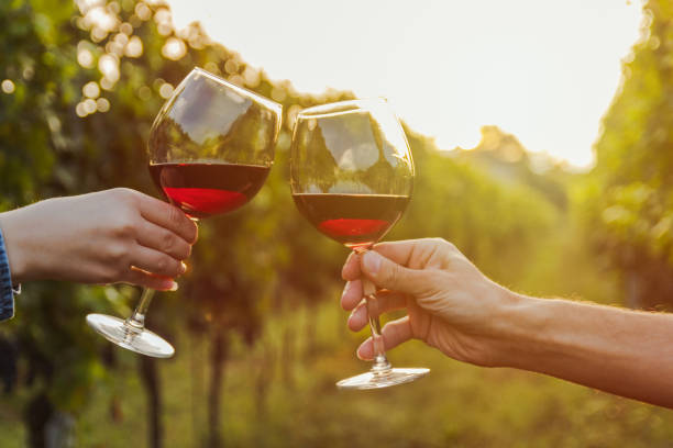 two glasses of wine