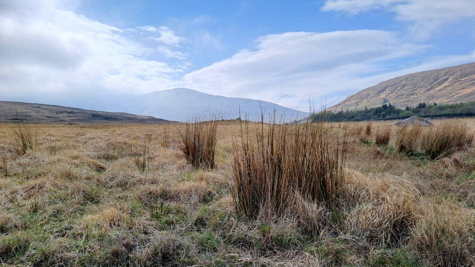 Landscape in County Mayo