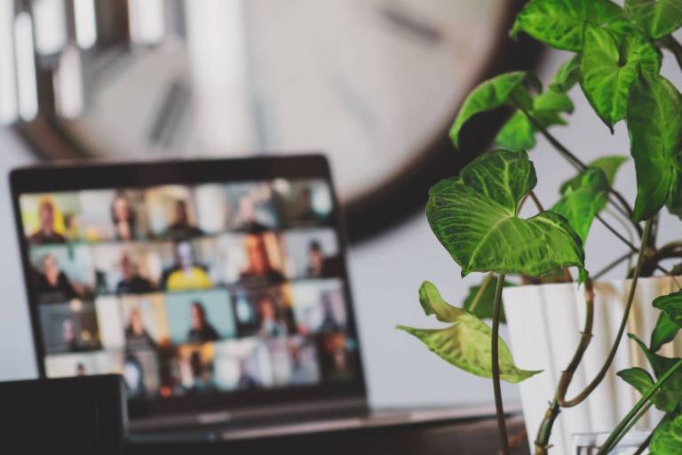 A plant new to a computer screen.