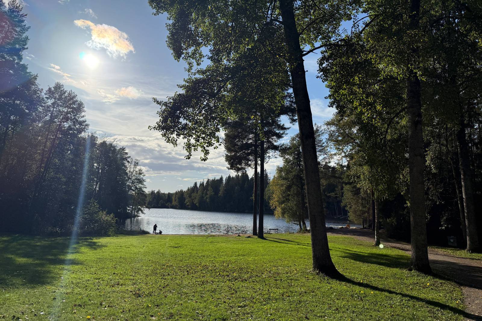 Peaceful lake view at Hervantajärvi in Tampere, Finland, with trees reflecting in calm water under evening light.