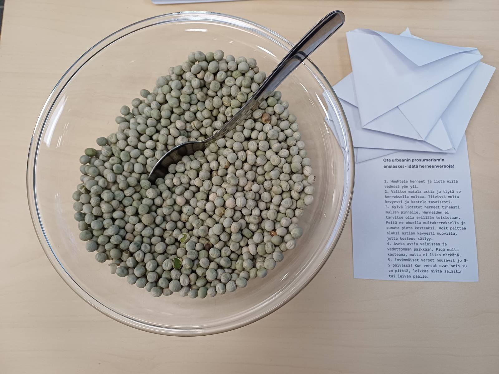 Urban prosumers -hankkeen pop up – pisteeltä sai mukaan herneitä ja viljelyohjeet. Kuva: Silja Kostia