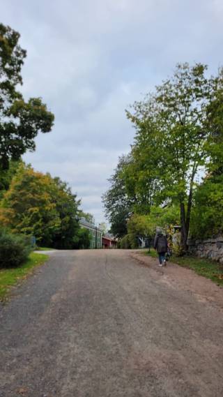 Maisemakuva, jossa näkyy takaapäin kävelevä ihminen.
