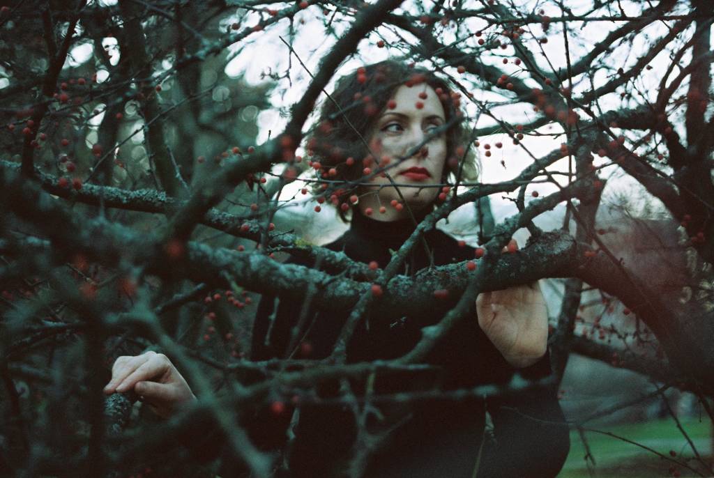 Metsän siimeksessä.