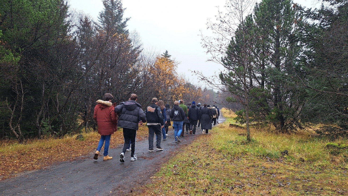People walking in the forest