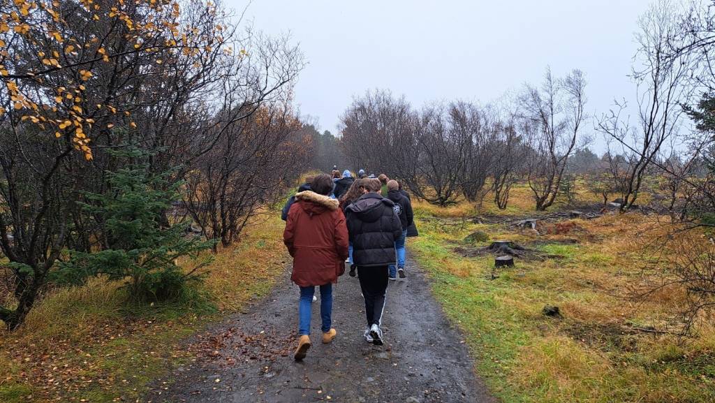 People walking in forest