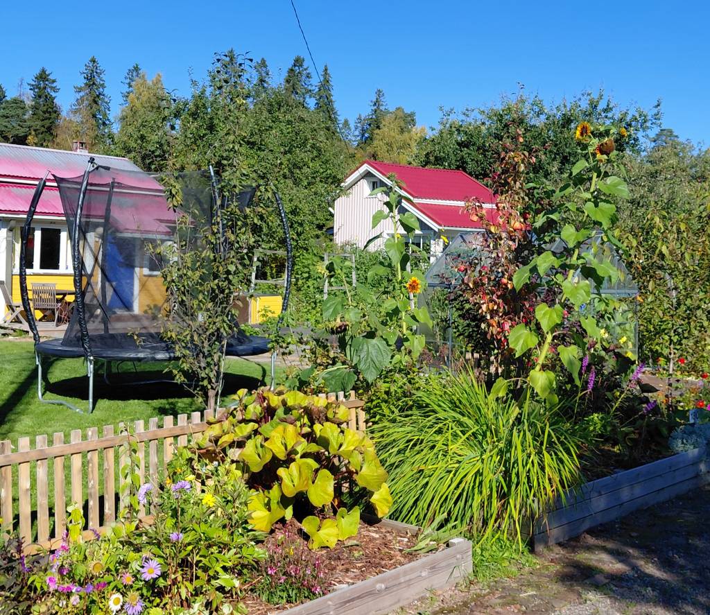 Beautiful garden in autumn