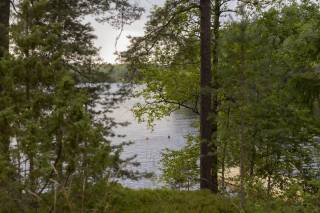 The Summer Seminar in Stakeholder Theory 2025 participants enjoying Finnish nature (Picture: Vili Mehtälä)