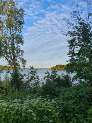 Green nature and blue sky