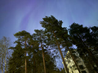 Aurora (The northern light)