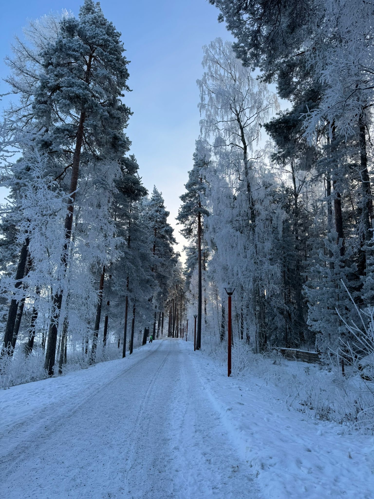 After moving abroad, I realized how much I missed Finland and how deep my attachment to it had become.