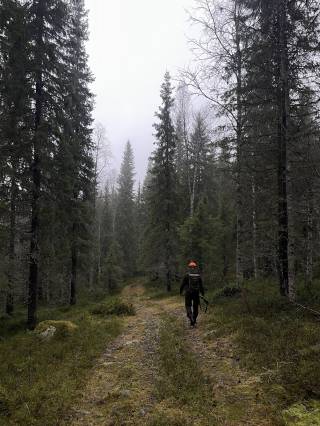 Hunting in Lapland