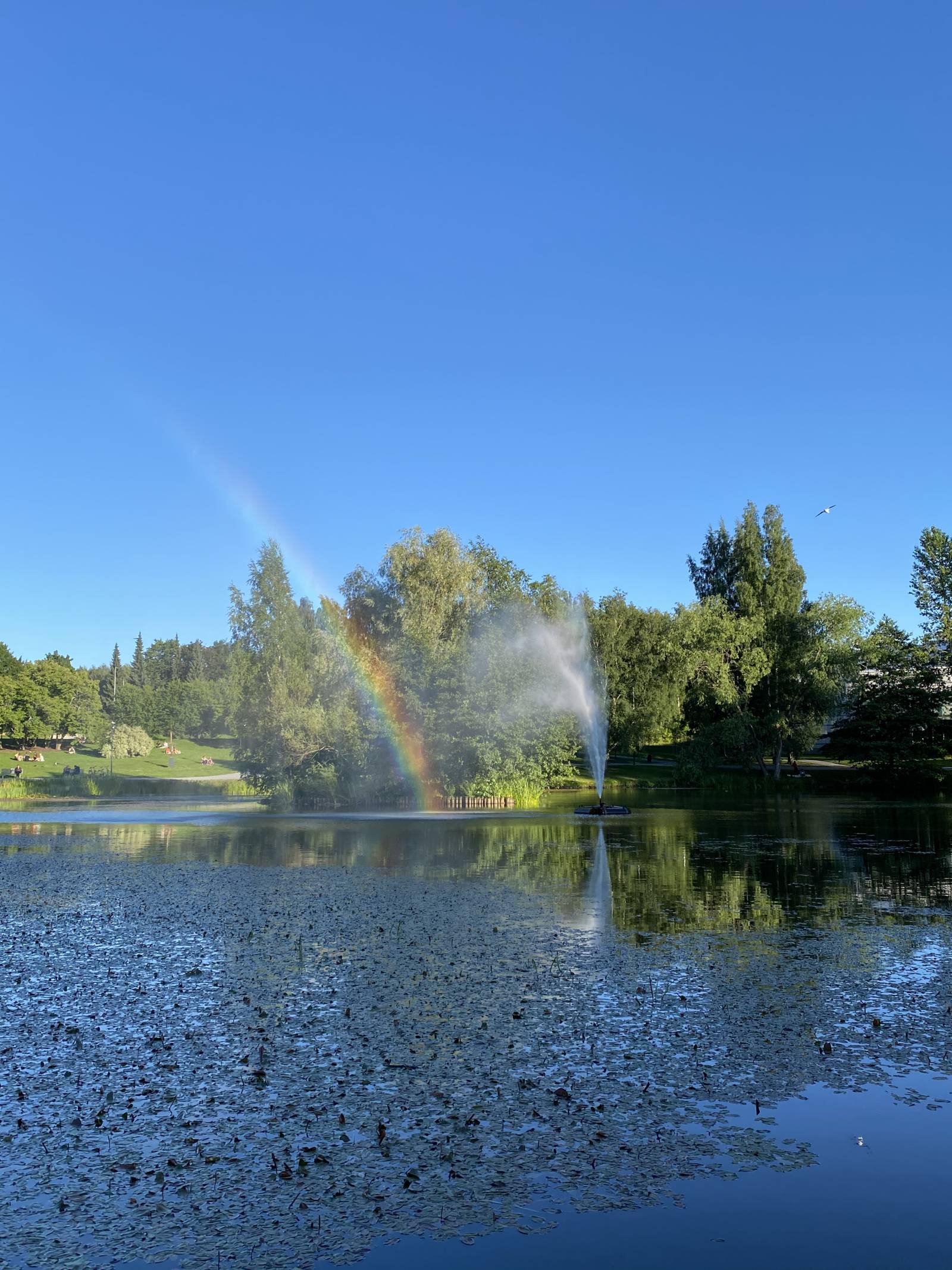 One and only, Duckpark in Tampere.
