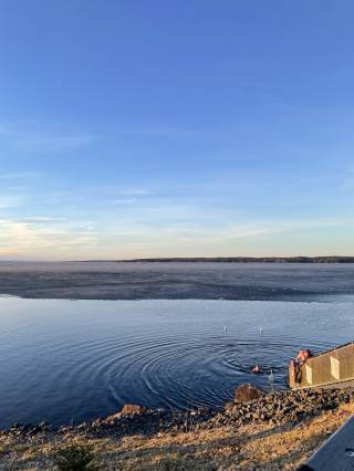 Ice plunging at Kaupinoja sauna