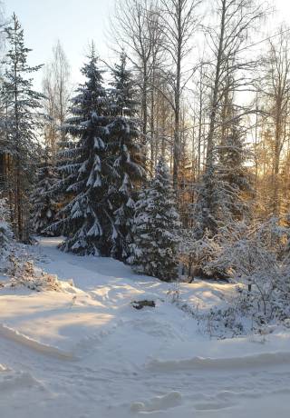 Photo Elina Jämsén