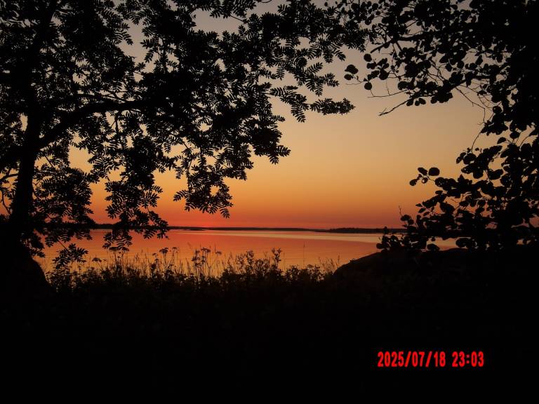 My picture of the last summer