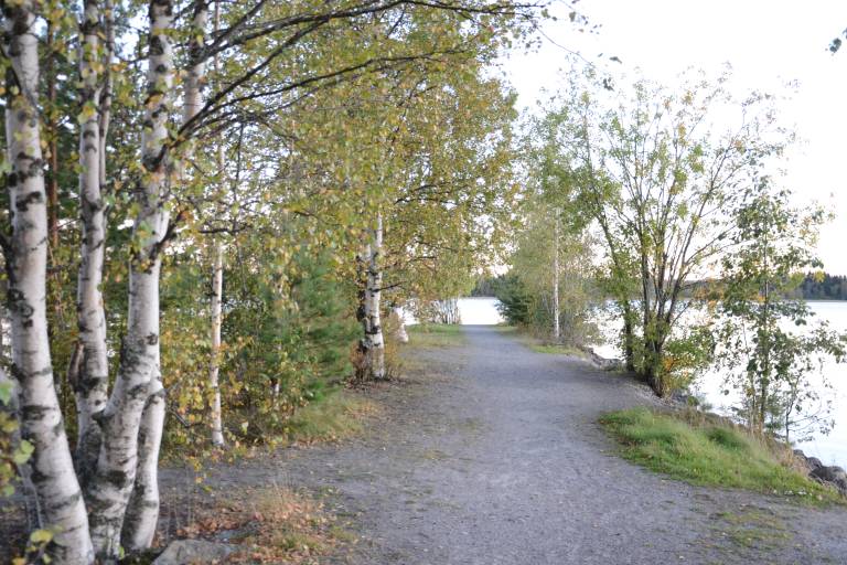 Picture showing a view of a gravel road and trees with a lake in the backorund.