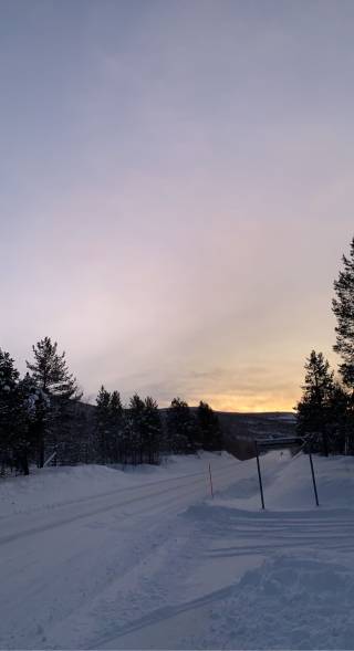 I love the changing seasons in Finland.