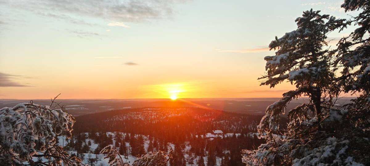 Picture or sun setting downon the horisont in winter forest in Finland