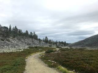 Hiking path between the "mountains" in northern Finland.