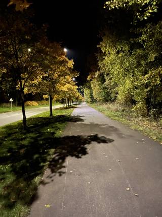 Autumn