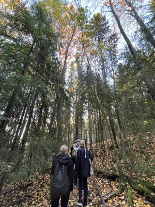 Finnish autumn is so beautiful