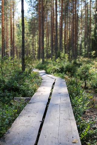 Finnish nature